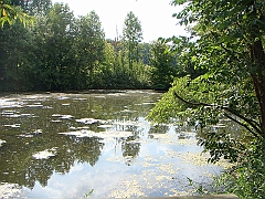 068 Longwood Gardens [2008 August 23]